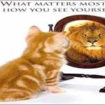 Self Esteem quotes