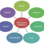 7 Dimensions of Wellness
