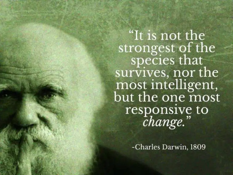 What is Darwin theory of evolution?