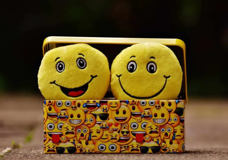 emotions and feelings