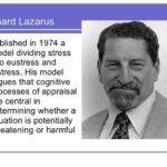 model of stress